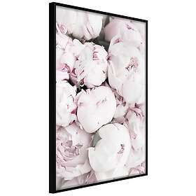 Dream Inramad Poster / Tavla Girly