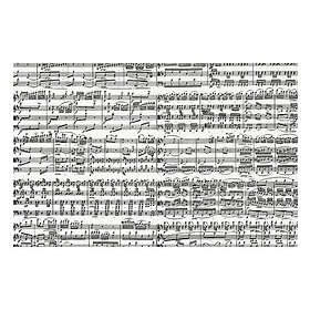 Piatnik : Musical Notes (1000)