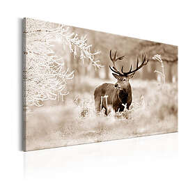 Arkiio Tavla Deer In Sepia in 90x60 A3-N7057-DKX