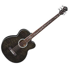 Michael Kelly Dragonfly 5 String