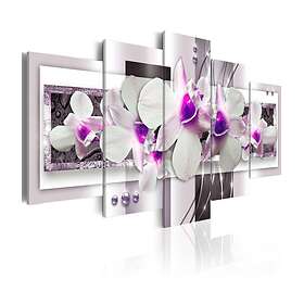 Arkiio Tavla With Violet Accent violet accent 100x50 A3-N3356