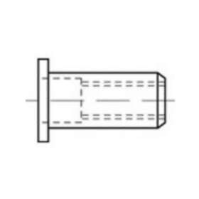 Toolcraft TO-5444247 Blindnittemøtrik M10 Stål 100 stk
