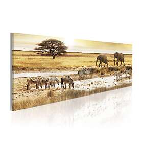 Arkiio Tavla Africa At The Waterhole 120x40