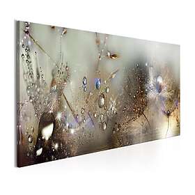 Arkiio Tavla Nature Sounds 120x40 A3-N6720