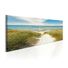Arkiio Tavla Solace of the Sea 135x45