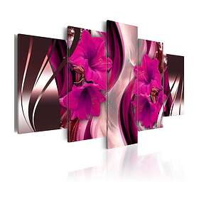 Arkiio Tavla Fuchsia Evening 100x50 A3-N4115