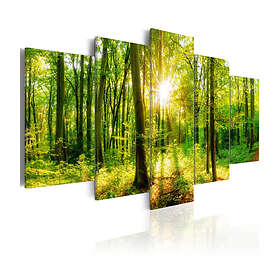 Arkiio Tavla Forest Tale 100x50 A3-N6326