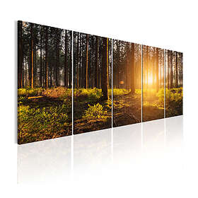 Arkiio Tavla Summer Morning 200x80 A3-N7028-DK