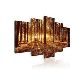 Arkiio Tavla Amber Forest 100x50