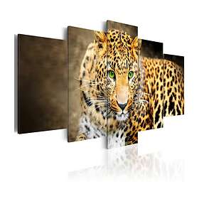 Arkiio Tavla Green-eyed 100x50 A3-N3595