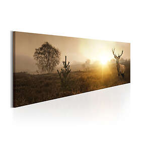 Arkiio Tavla Foggy Morning 135x45 A3-N7093-DKX