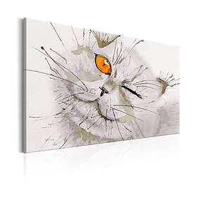 Arkiio Tavla Grey Cat 90x60 A3-N6691