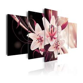 Arkiio Tavla Beauty Mystery 100x50 A3-N4025