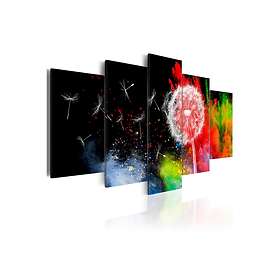 Arkiio Tavla Festival Of Colours 100x50