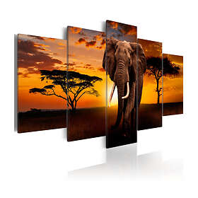 Arkiio Tavla The Savannah King 100x50 A3-N5824