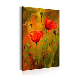 Arkiio Tavla The Awakening of Poppy 40x60