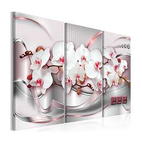 Arkiio Tavla Wonderful Orchids I 90x60 A3-N7211-DK