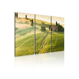 Arkiio Tavla Under The Tuscan Sun 60x40