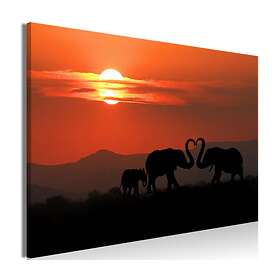 Arkiio Tavla Elephants in Love (1 Part) Wide 60x40