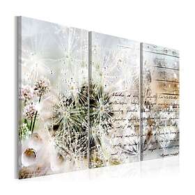 Arkiio Tavla Starry Dandelions I 90x60 A3-N7043-DKX
