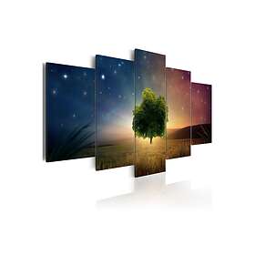 Arkiio Tavla Starry Nights 200x100 A3-N5675-DKX