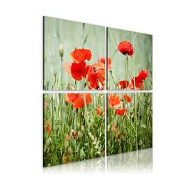 Arkiio Tavla Springtime 40x40 A3-N1941