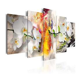 Arkiio Tavla Orchid And Colors 100x50 A3-N3828