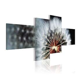 Arkiio Tavla Maskros 4 st 100x45 A3-N1324