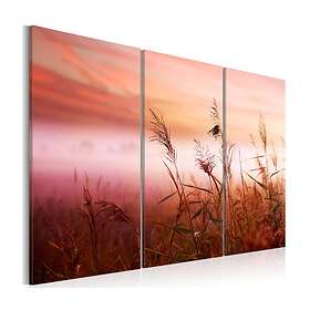 Arkiio Tavla A Silent Meadow 120x80