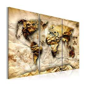 Arkiio Tavla Anatomy Of The World 90x60