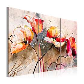 Arkiio Tavla Vallmor Piskade Av Vinden 120x80