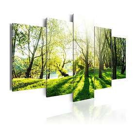 Arkiio Tavla Green Glade 100x50 A3-N3480