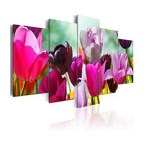 Arkiio Tavla Pink Fun 100x50