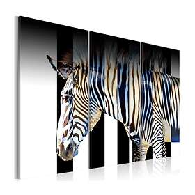 Arkiio Tavla Stripes 90x60 A3-N1149-DK