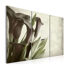 Arkiio Tavla callas vintage 90x60