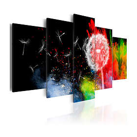 Arkiio Tavla Festival Of Colours 200x100