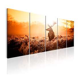 Arkiio Tavla Deer At Sunset 200x80