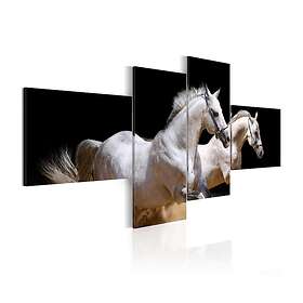 Arkiio Tavla Animal White Horses Galloping world- 200x90