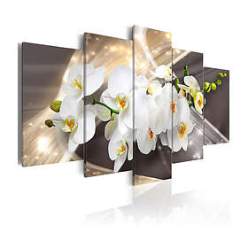 Arkiio Tavla Golden Sash 200x100 A3-N5739-DKX