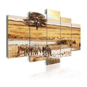Arkiio Tavla Zebras On A Savannah 200x100