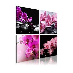 Arkiio Tavla Orkidéer Vackrare Än Någonsin 80x80