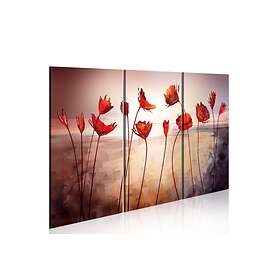 Arkiio Tavla Bright Red Poppies 60x40