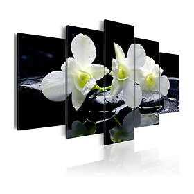 Arkiio Tavla Melancholic Orchids 100x50 A3-N3289