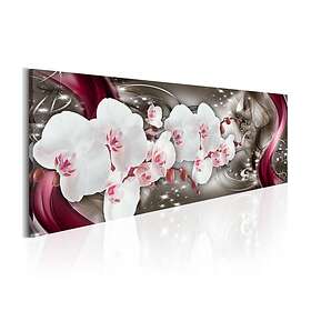 Arkiio Tavla Enchanted Art 120x40 A3-N4038
