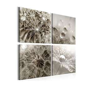Arkiio Tavla Grey Dandelion 40x40 A3-N6784