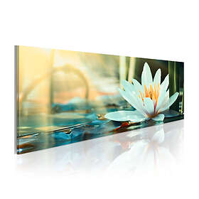 Arkiio Tavla The Lake Of Lotus 150x50