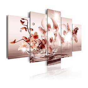 Arkiio Tavla Lyric Of Orchid 100x50