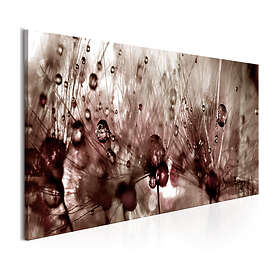 Arkiio Tavla Dandelions After Rain 120x40 A3-N6819