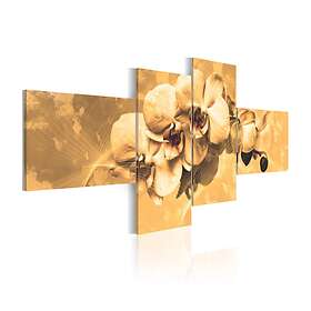 Arkiio Tavla Orkidéer I Sepia 100x45