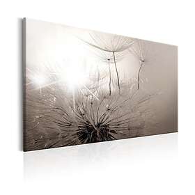 Arkiio Tavla Beautiful Summer Dandelions 120x80 A3-N6707-DK